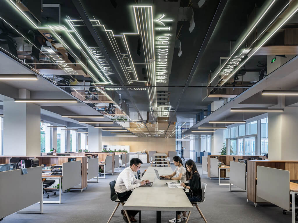 Management Structure